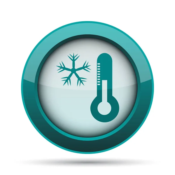 Snowflake with thermometer icon