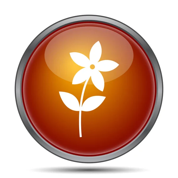 Flower  icon — Stock Photo, Image