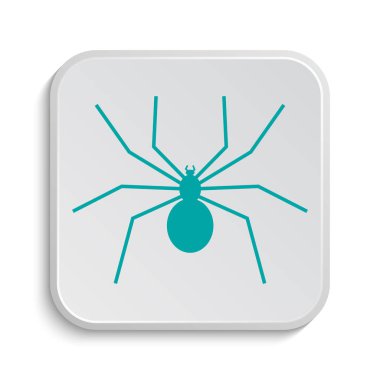 örümcek simgesi