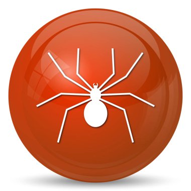 örümcek simgesi