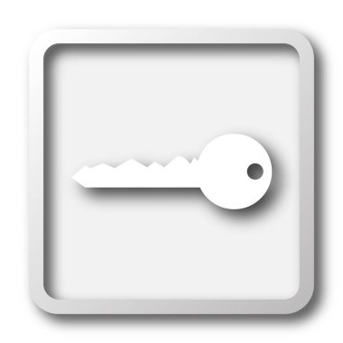 Anahtar simgesi. Beyaz arka plan üzerinde Internet düğmesi