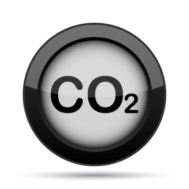 CO2 simgesi