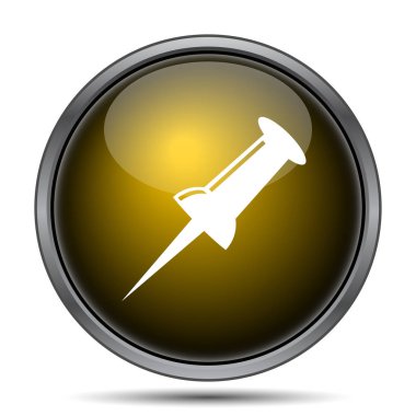 PIN simgesi. Beyaz arka plan üzerinde Internet düğmesi