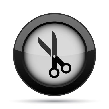 Simge kesti. Beyaz arka plan üzerinde Internet düğmesi