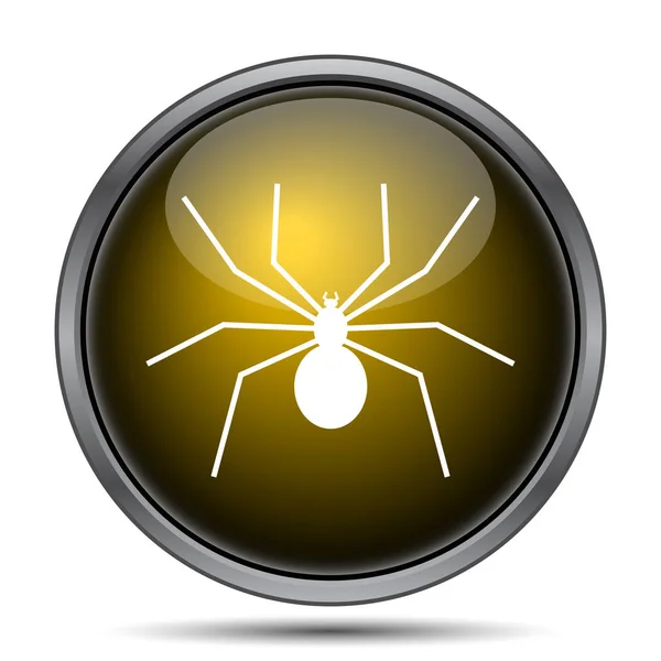 Spider icon — Stock Photo, Image