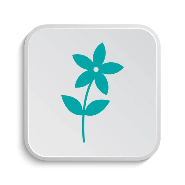 Flower Icon Icon Internet Button White Background — Stock Photo, Image