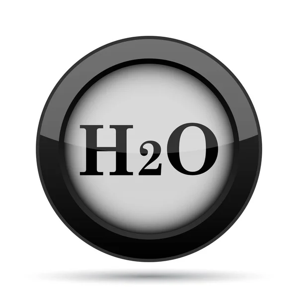 H2O 白色背景上的互联网按钮 — 图库照片