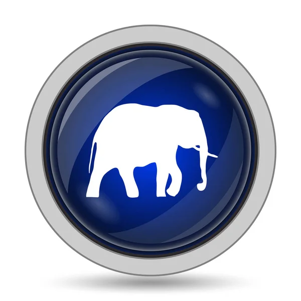 Icona elefante — Foto Stock