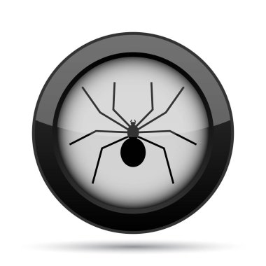 örümcek simgesi