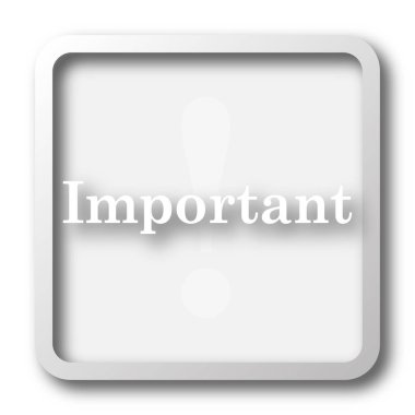 Önemli simgesi. Beyaz arka plan üzerinde Internet düğmesi