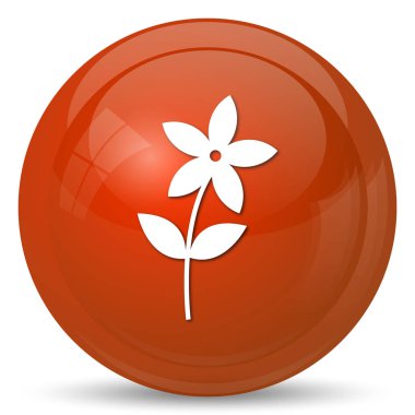 Çiçek simgesi simgesi. Beyaz arka plan üzerinde Internet düğmesi