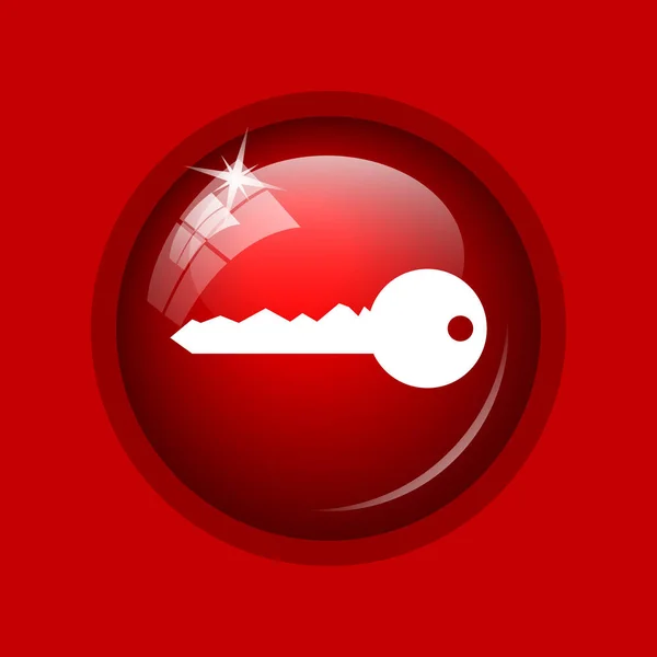 Key icon. Internet button on red background