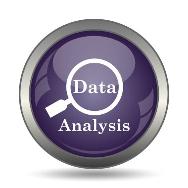 Veri Analizi simgesi. Beyaz arka plan üzerinde Internet düğmesi