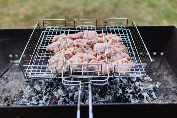 Barbekü ızgarasında pişirilmiş domuz eti.. 