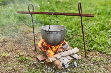 Pot ormandan seyahat