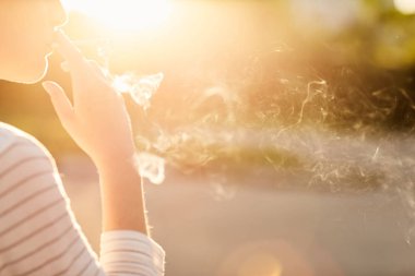 Sigara İçilmeyen gün batımında tutan kız