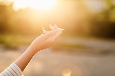 Sigara İçilmeyen gün batımında tutan kız