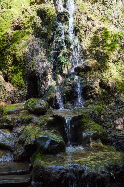 Kutsal bahar. Küçük şelale