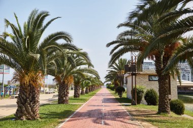 Batum Boulevard güneşli bir günde. Palmiye ağaçları yol boyunca. Batum. Gürcistan. 
