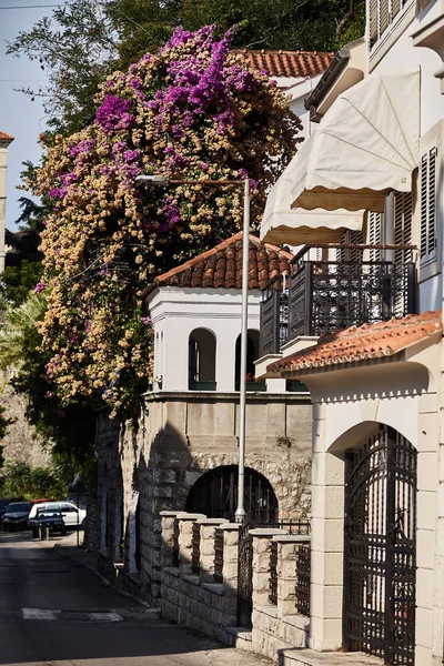 Herceg Novi sokaklarında. Karadağ sokakta. 