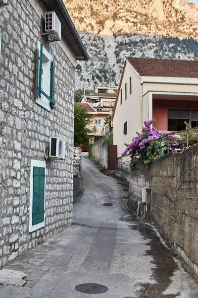 Kotor sokakta. Sokak ağaçları ile. Karadağ