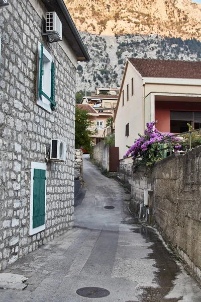 Ulica w mieście Kotor. Ulica z drzew. Czarnogóra — Zdjęcie stockowe