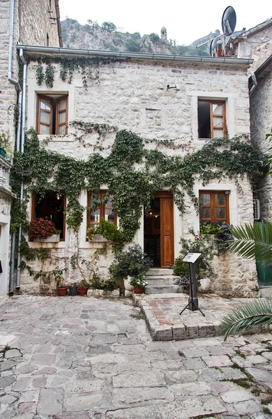 Monténégro. La ville de Kotor. Rues du vieux Kotor . — Photo