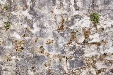 Eski gri beton duvar. Doku. Arka plan. Karadağ.