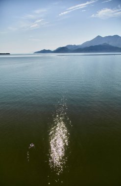 İşkodra Gölü. Milli park. Karadağ. Yaz
