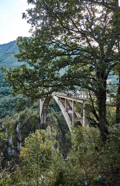 Die tiefste schlucht Europas. Tara River Canyon. Montenegro. — Stockfoto