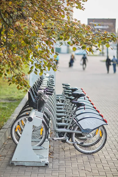 Alquiler de bicicletas en el centro de Moscú. Transporte. Moscú coche compartido. centro de Moscú. Otoño . — Foto de Stock