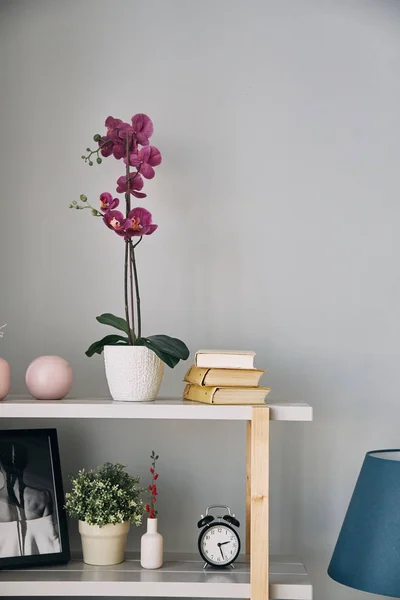 lilac flower is in a pot on the shelf. Modern interior.