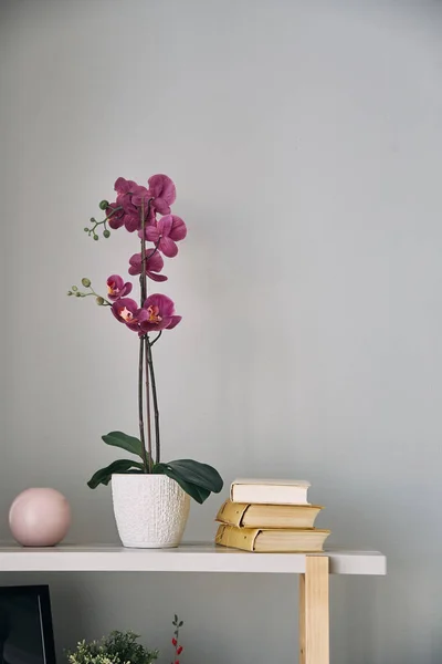 Lilac flower is in a pot on the shelf.Interior detail. — Stock Photo, Image