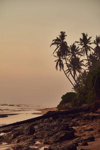 Gurubebila pláže na Srí Lance. Indický oceán. Západ slunce. Město Weligama — Stock fotografie