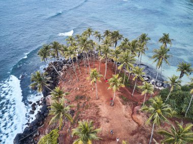 Havadan görünümü. Ağaçlar palms. gizli plaj. Mirissa, Sri Lanka