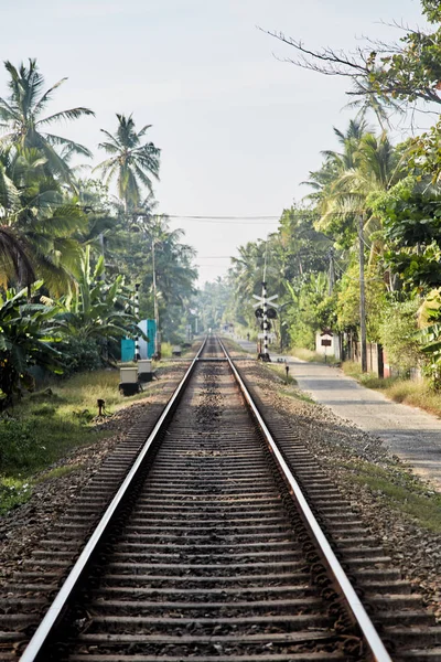 Järnvägen i tropikerna i Sri Lanka stretching i fjärran — Stockfoto