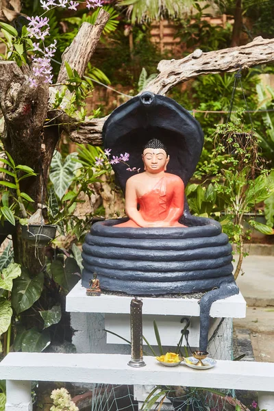 Будда статуетку у тропічному саду. Шрі Ланка — стокове фото