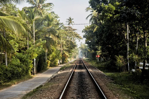 Järnvägen i tropikerna i Sri Lanka stretching i fjärran — Stockfoto