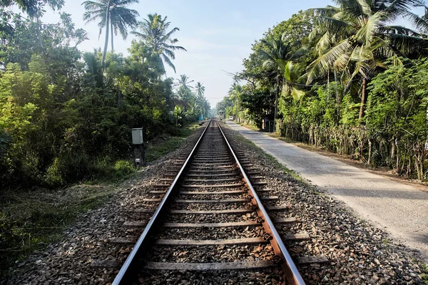 Järnvägen i tropikerna i Sri Lanka stretching i fjärran — Stockfoto