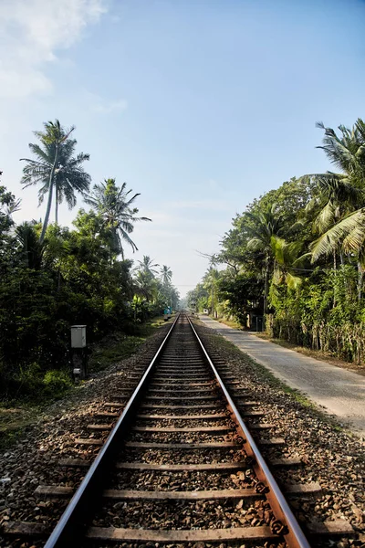 Demiryolu Sri Lanka mesafe içine uzanan tropikal