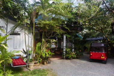 Sri Lanka tropikal bir villada avlusu