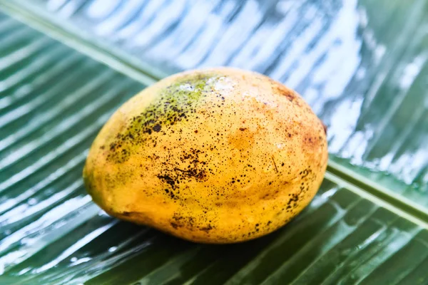 Fruta madura del mango sobre una hoja verde. Primer plano. Colorido — Foto de Stock
