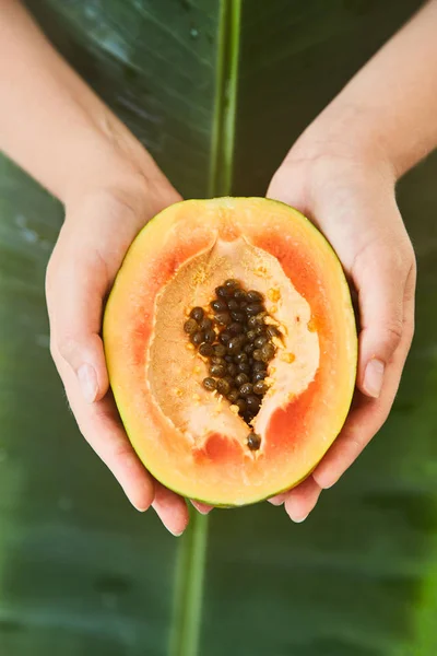 Fruta madura de la papaya en las manos de la niña. Primer plano . — Foto de Stock