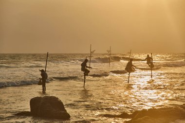 Sri Lanka balıkçılık gün batımında balıkçılar 