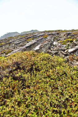 Dağın tepesinde şafak. 