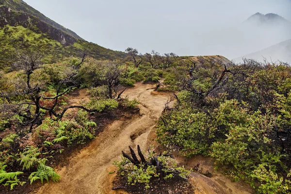 Um caminho estreito no vulcão que conduz à cratera . — Fotografia de Stock