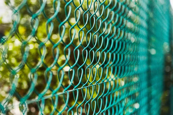 Fence of green iron mesh close up. — Stock Photo, Image