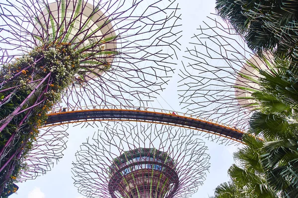 Singapur, Singapur: 19 de marzo de 2019: Jardines de la bahía, Singapur — Foto de Stock