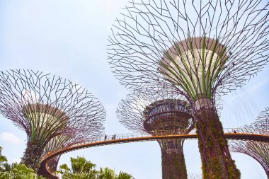 Singapur, Singapur: Mart 19 2019: Körfez bahçeleri, Singapur