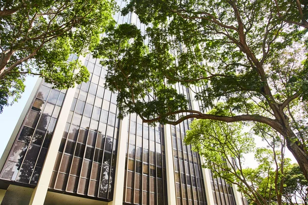 Singapur sokaklarında yüksek cam gökdelenler